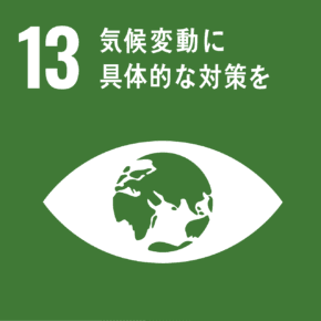 SDG Goal 13