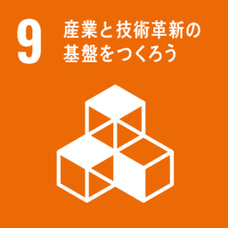 SDG 9 アイコン